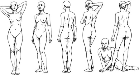 sketch of a naked woman
