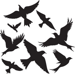 Obraz premium Flying Bird Silhouette Set – multiple birds in flight with varied wing positions.
