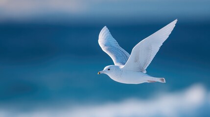 serene image of bird in mid-flight wings spread gracefully against vast blue sky