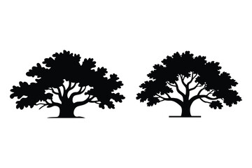 Two Silhouetted Oak Trees