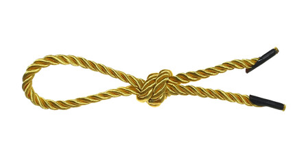 Golden string, rope in shape bow tie isolated on white, clipping path
