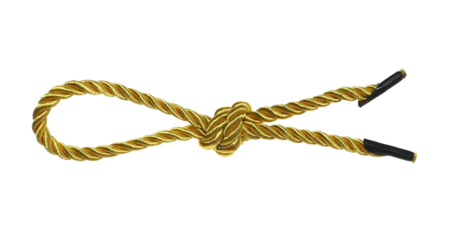 Golden string, rope in shape bow tie isolated on white, clipping path