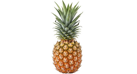 Isolated Pineapple