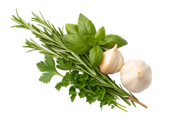 A vibrant and aromatic still life presents a collection of fresh culinary herbs and garlic, arranged in a casual yet artful manner