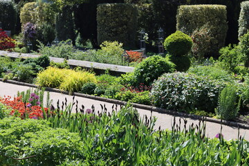 Colourful flower beds and shrubs in a garden in spring