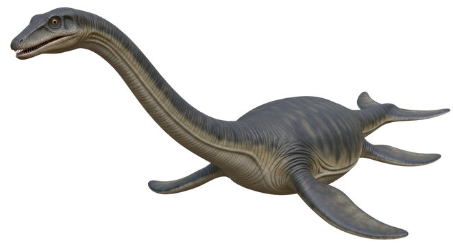 Isolated plesiosaur dinosaur