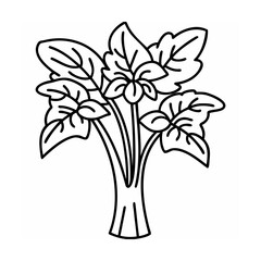 Black Line Drawing of Rhubarb Plant with Leaves white