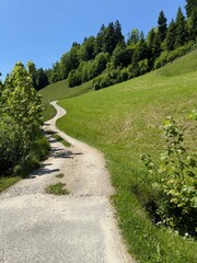 Long and windy road - through Alpine Countryside