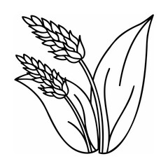 Black Line Art Drawing Two Wheat Spikes with Leaves