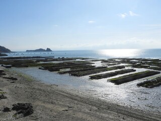 Parc à huitres de Cancale.