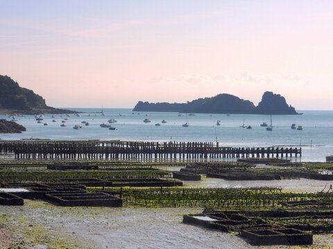 Parc &agrave; huitres de Cancale.