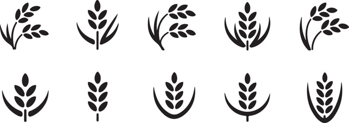 Obraz premium Black and White Stylized Rice Plant Illustration