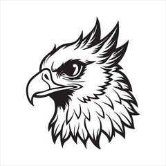 Harpy Eagle – Fierce and Iconic Bird of Prey in Tropical Jungle Habitats