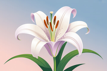 Obraz premium Pure White Lily on Soft Blue-Pink Gradient – Realistic Floral Art with Glossy Leaves and Delicate Shadows