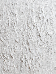 Obraz premium White textured plaster wall surface with rough uneven pattern and natural light creating soft shadows for clean background