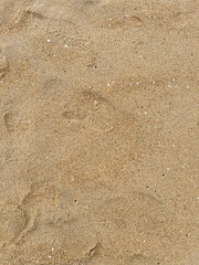 Beach wave close up from top view