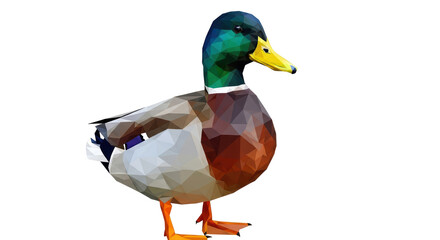 Isolated Geometric Duck