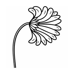 Floral Sketch Blossom Design Element For Spring Decoration © Rupasi