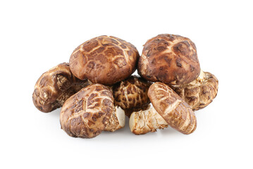 Shiitake mushroom  isolated on white background with clipping path.