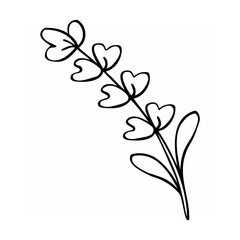 Black Line Art Drawing Simple Flower Branch black and white
