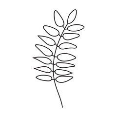 Simple Line Art Illustration of a Branch with Leaves.Rowan leaf.
