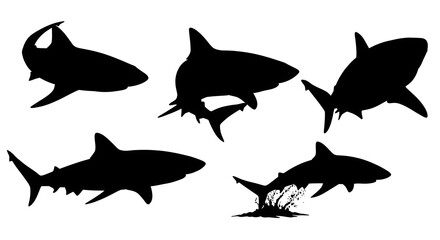 Silhouettes of various sharks swimming, some with visible fins and one near underwater plants.