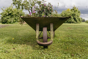 Vintage Wheelbarrow with Flowers in Garden – Rustic Upcycled Planter in Countryside Backyard
