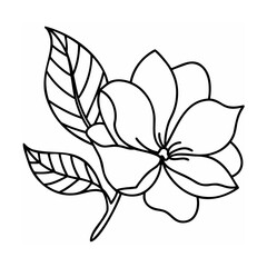 Black Line Art Magnolia Flower with Leaves white