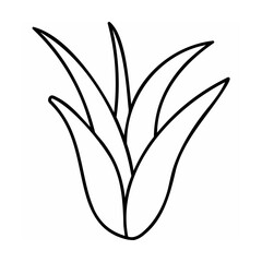 Black Line Drawing of Simple Aloe Vera Plant leaves