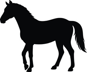 Fototapeta premium Morgen horse silhouette, horse vector illustration