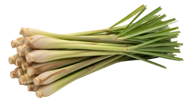Isolated Lemongrass