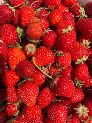 Fresh ripe strawberries close-up, vibrant red color, natural texture, harvested fruit background in sunlight