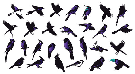 Collection of Silhouettes Diverse Bird Species in Flight and Resting Poses