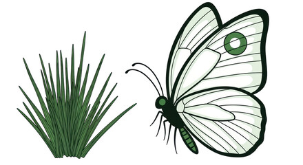 Isolated Butterfly and Grass