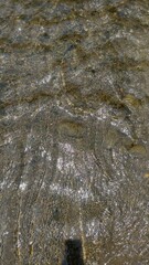 Texture variations in nature and their significance