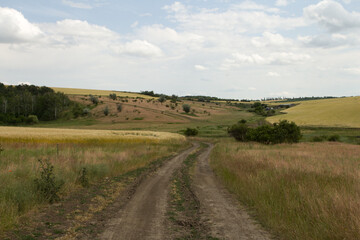 A dirt road through a grassy field