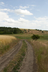 Fototapeta premium A dirt road through a field