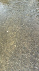 Texture variations in nature and their significance