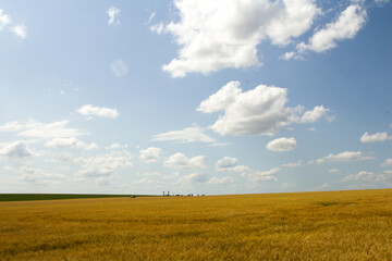 A large field with a blue sky and clouds