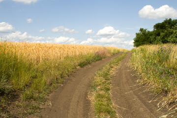 A dirt road through a field
