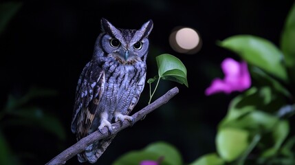Fototapeta premium Owl perched on branch at night