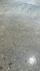 Texture variations in nature and their significance