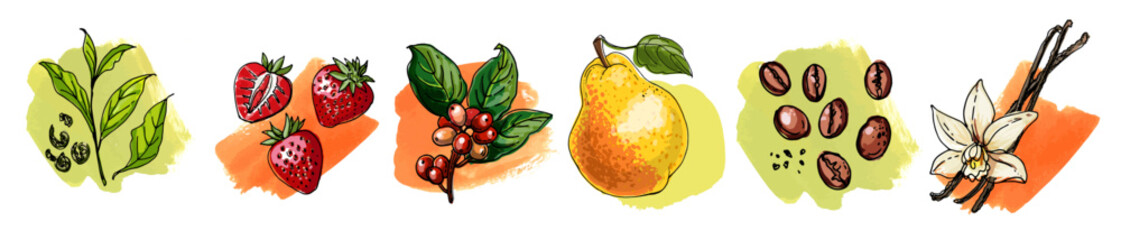 Hand Drawn Vector Set – Berries, Fruits, Spices and Coffee Beans
