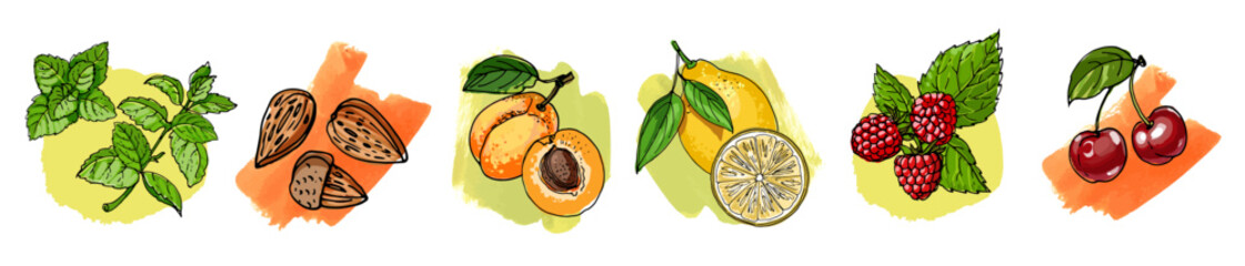 Hand Drawn Vector Set – Berries, Fruits, Spices and Coffee Beans