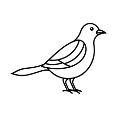 bird line art design