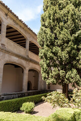 Obraz premium Cypress tree growing in courtyard of monastery with arches and balcony