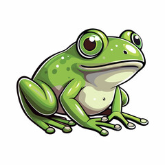 green frog vector on white background