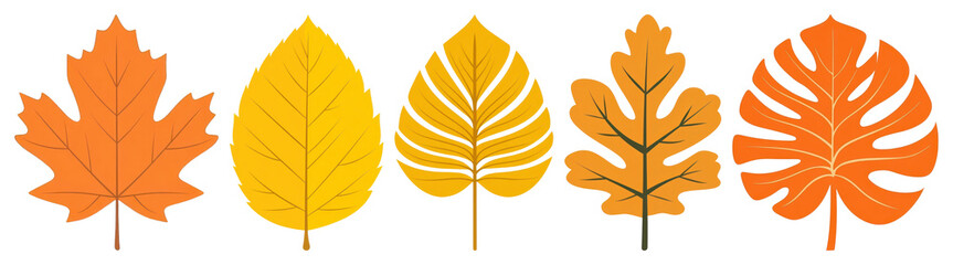 Fototapeta premium PNG Colorful autumn leaves illustration, element set on transparent background