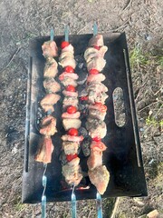 Top view of shashlik skewers grilling over mangal fire