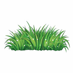 green grass isolated vector on white background